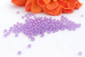 TOHO Rocailles Inside color Aqua/Crystal Lilac lined, 6/0