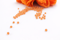Miyuki Rocailles Luminous soft orange, 8/0