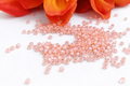 TOHO Rocacilles Silverlined Milky peach, 11/0